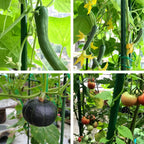6 FT Garden Stakes for Outdoor Plant Support, 0.78 inch Diameter Plant Stake Sticks Metal Poles for Pole Beans Cucumber Tree Climbing Plants Gardening Supplies 10 Pack