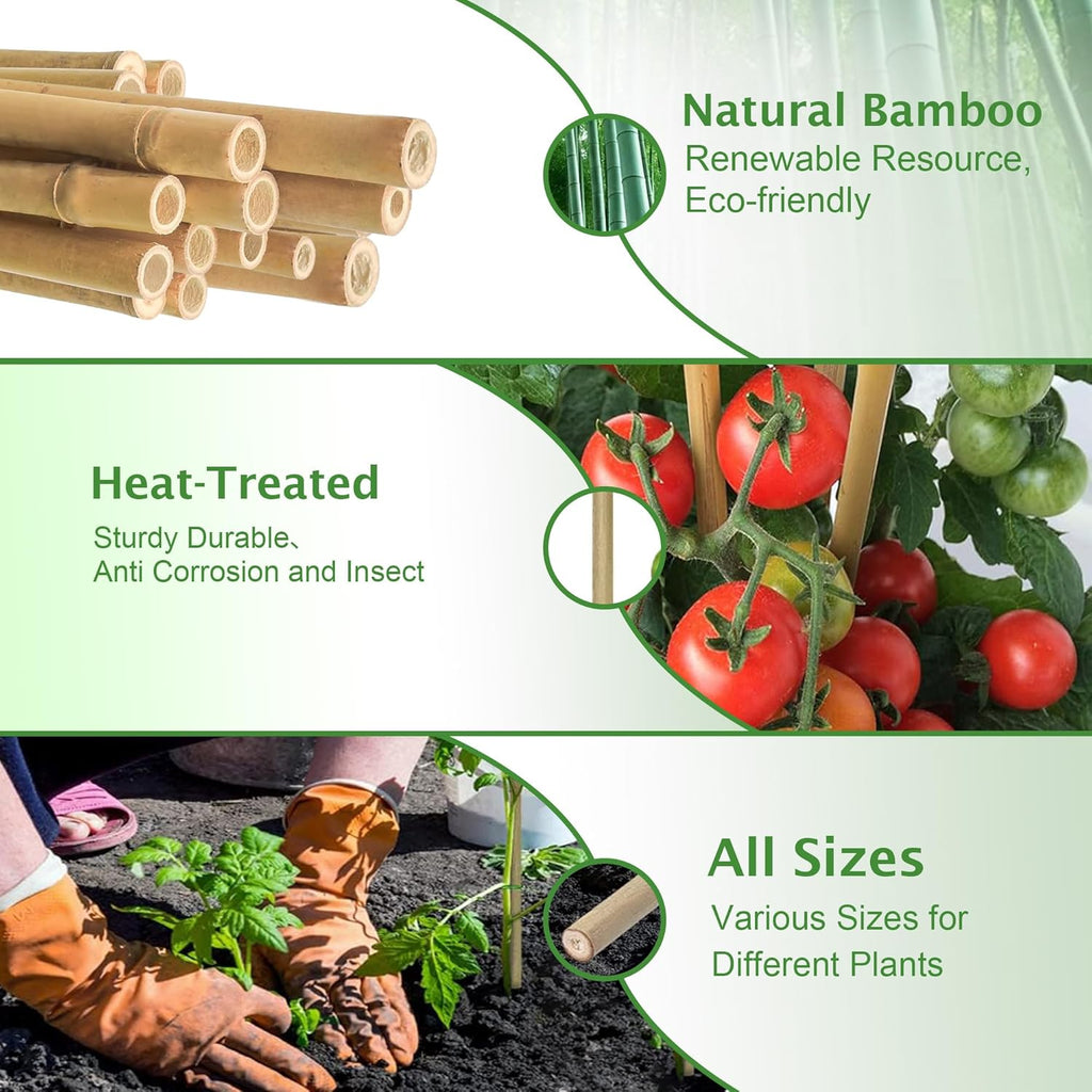 Bamboo Garden Stakes 2FT/3FT/4FT/4.8FT/6FT/7FT/8FT, Plant Stakes for Outdoor Plants, Plant Support Stakes Tomato, Vegetables Beans Trees Climbing Plants (6FT, Pack of 20)