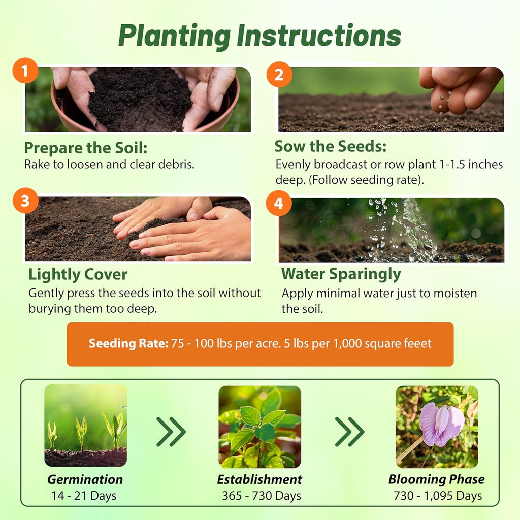 Outsidepride Austrian Winter Peas Seeds for Planting – 1 oz (Cool-Season Cover Crop, High-Protein Deer Food Plot Seed) Field Peas, Cover Crop Seeds, Spring Mix for Soil Health & Forage