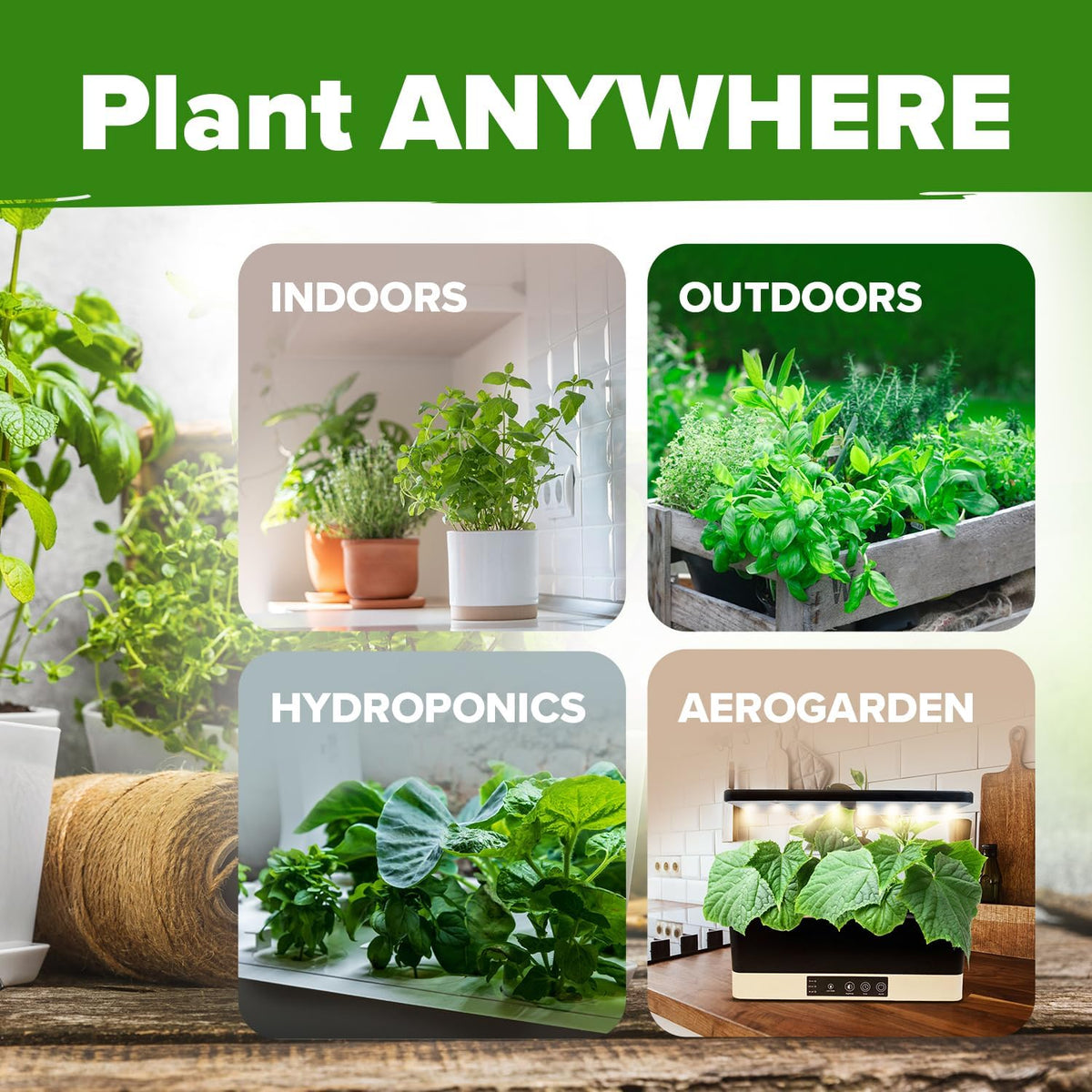 HOME GROWN Premium HERB Seeds Variety Pack - 20 Heirloom Herb Seeds for Planting - 6,000+ Non-GMO Seeds with Plant Markers - Indoor Outdoor Hydroponic Herb Garden - Culinary & Medicinal Herbs
