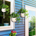 MIPON 3 Pack Macrame Plant Hangers, Hanging Planters for Indoor Plants