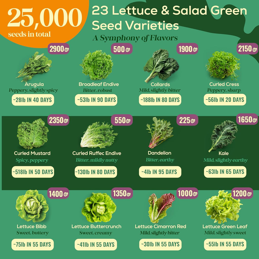 23 Lettuce & Salad Greens Seeds Variety Pack - 25,000+ Non-GMO Heirloom Greens Seeds for Planting Lettuce Indoor & Outdoor: Arugula, Mizuna, Kale, Spinach, Swiss Chard, Mache & More Lettuce Seeds