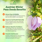 Outsidepride Austrian Winter Peas Seeds for Planting – 10 lbs Bag (Cool-Season Cover Crop, High-Protein Deer Food Plot Seed) Field Peas, Cover Crop Seeds, Spring Mix for Soil Health & Forage