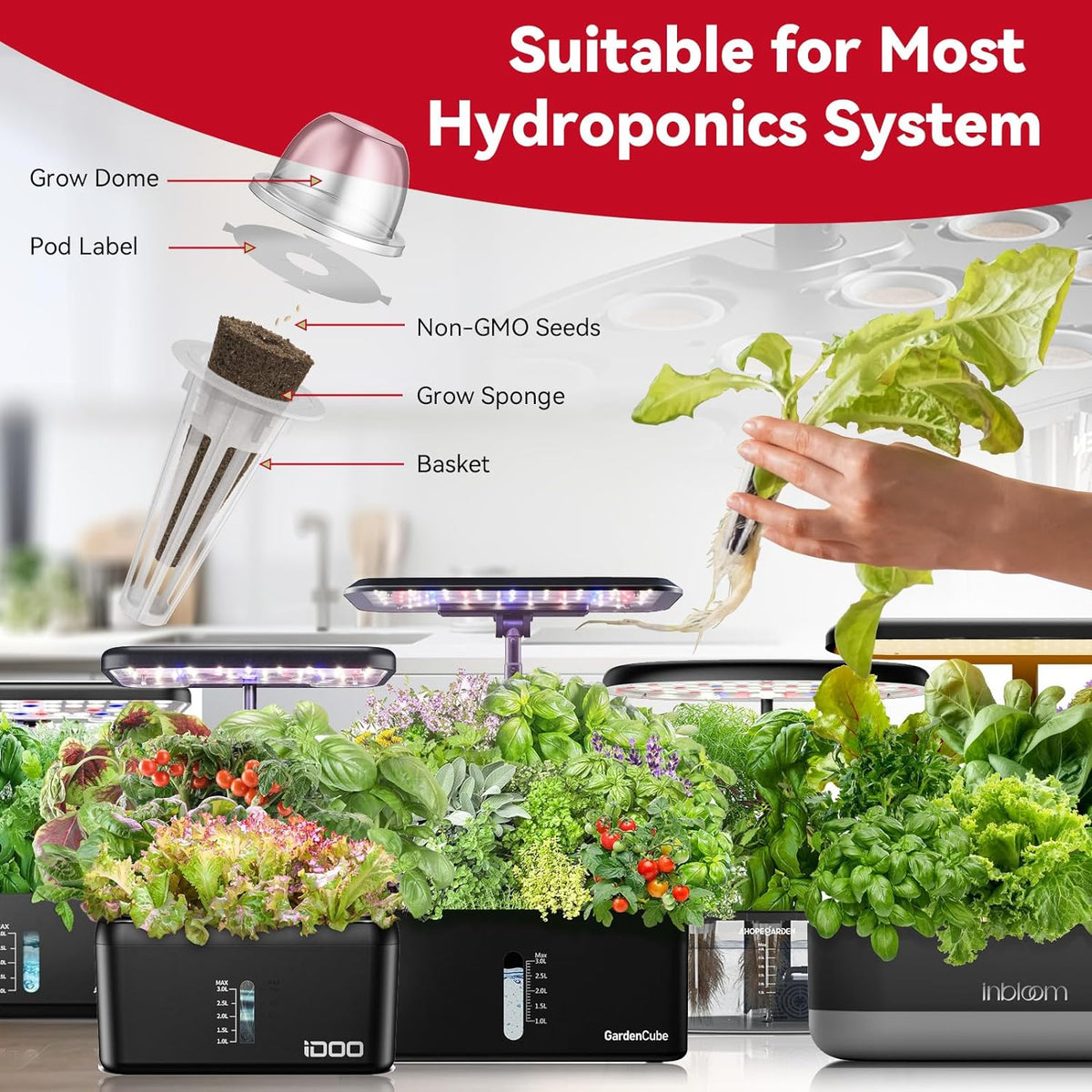 inbloom Fruit Seed Pod Kit for for AeroGarden, Ahopegarden Hydroponics Growing System, 12-Pods (350 Seeds+, Include Red Cherry Tomato, Golden Cherry Tomato, White Strawberry, and Red Strawberry)