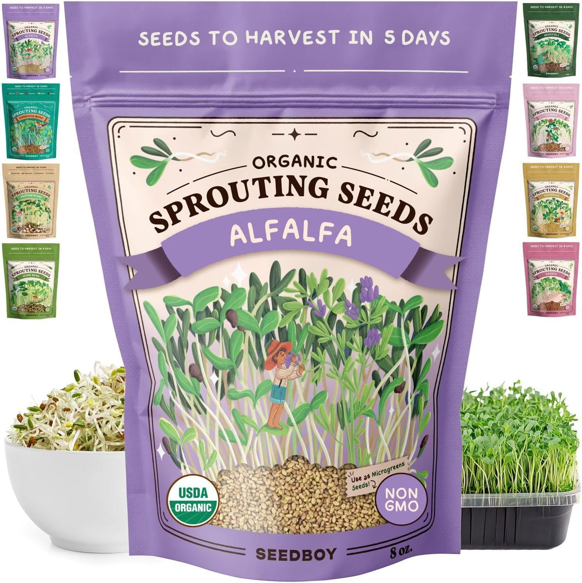 Seedboy Organic Non-GMO Alfalfa Seeds for Sprouting - Microgreens Sprouting Seeds - 8 oz Bag Makes 8 Quarts / 24 Servings (Alfalfa)
