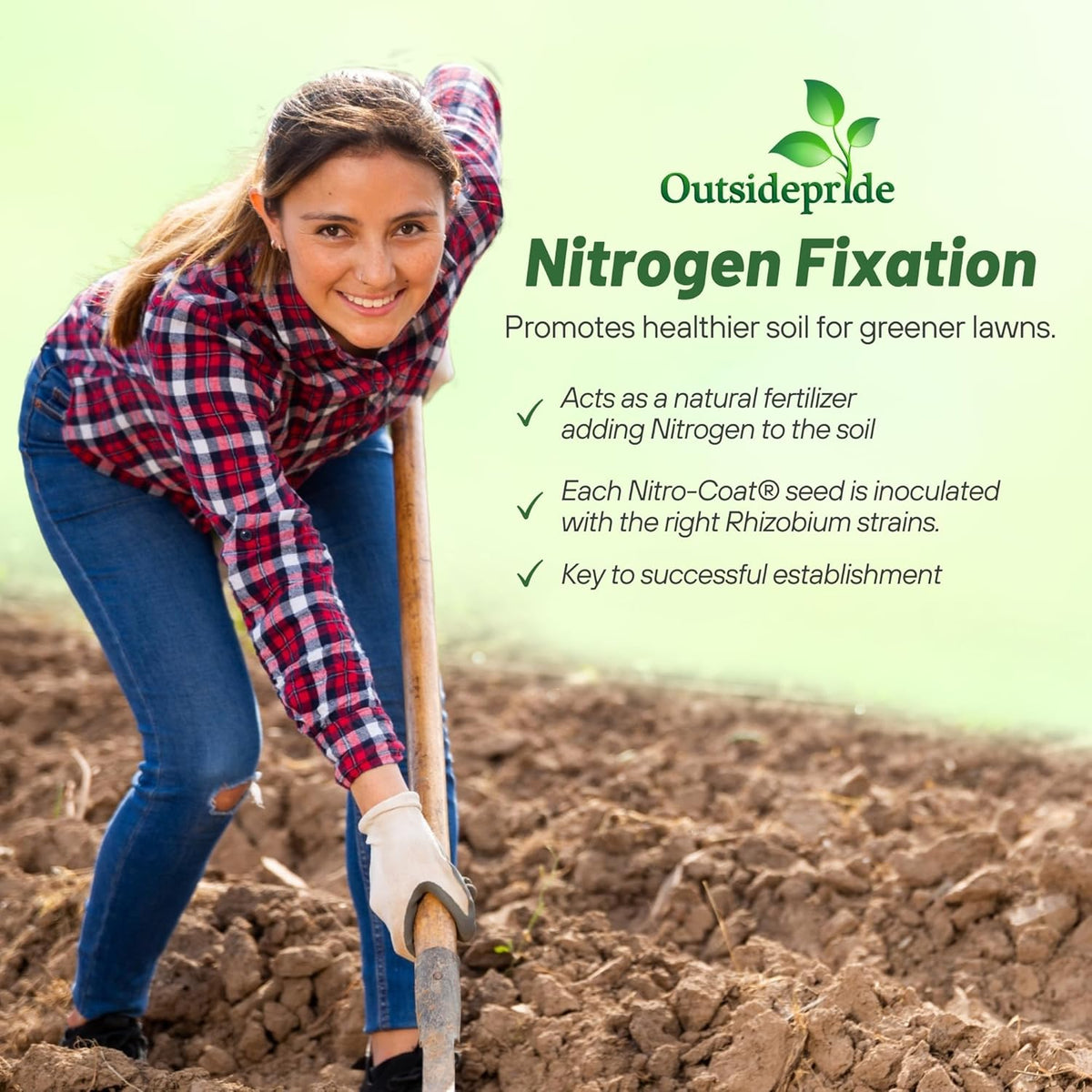 Outsidepride Perennial White Dutch Clover Seed - 40 lbs. Nitrocoated, Inoculated Clover Seeds for Lawn Alternative, Erosion Control, Food Plots, Ground Cover, & Pasture Mixtures in USDA Zones 3-10