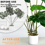 6PCS Plant Stem Support, 3 Sizes Climbing Houseplant Stem Holder, Plastic Reusable Flower Trellis Stem Hook Plant Care Growth Accessories for Flower Plants Indoor Outdoor - Black, 5.28"/4.55"/3"