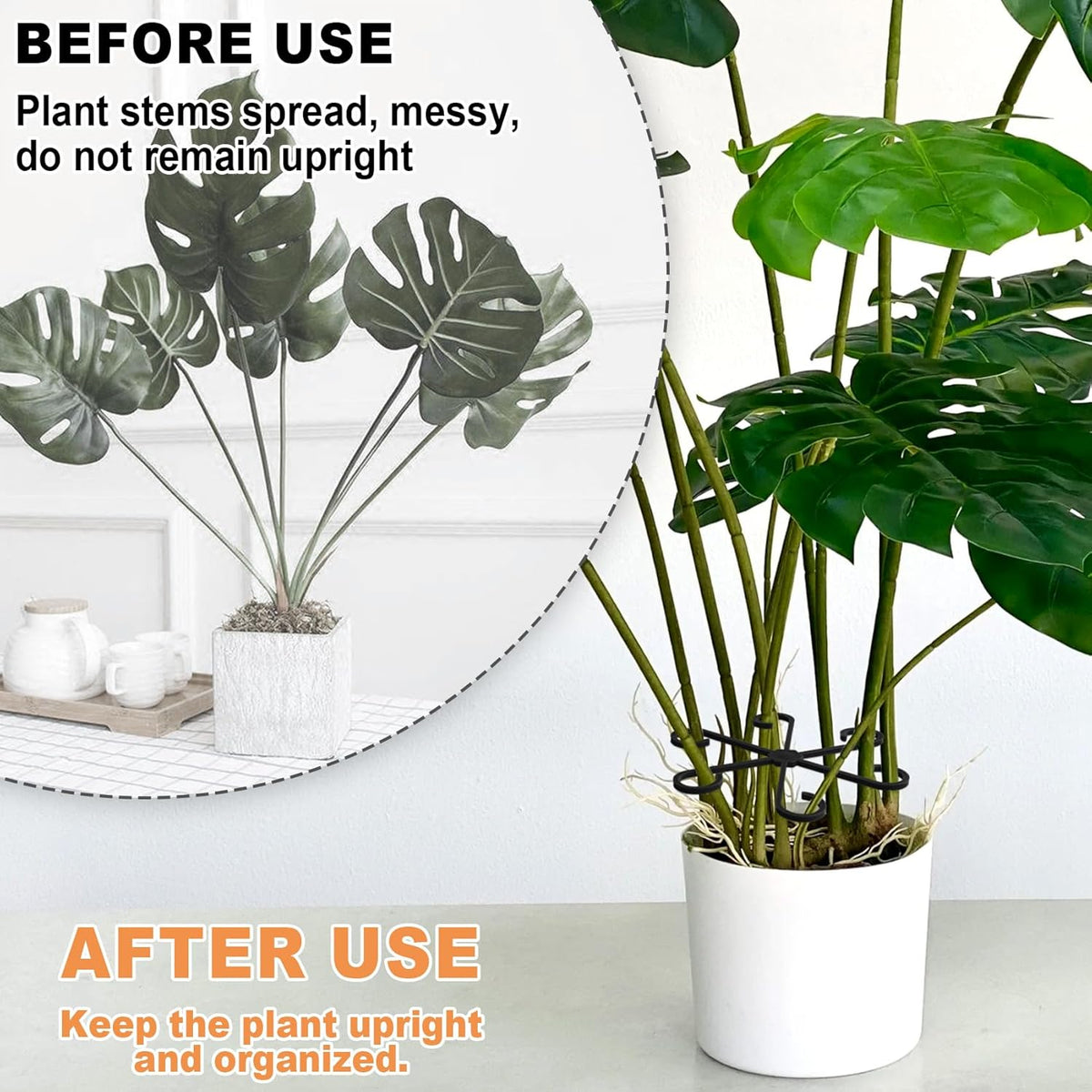 6PCS Plant Stem Support, 3 Sizes Climbing Houseplant Stem Holder, Plastic Reusable Flower Trellis Stem Hook Plant Care Growth Accessories for Flower Plants Indoor Outdoor - Black, 5.28"/4.55"/3"