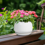 G EPGardening Ceramic Pots for Plants - 6 Inch Planter for Indoor Plants, Flower Pots with Drainage and Ceramic Tray, Modern Office Decor, Gifts for Plant Lovers, White