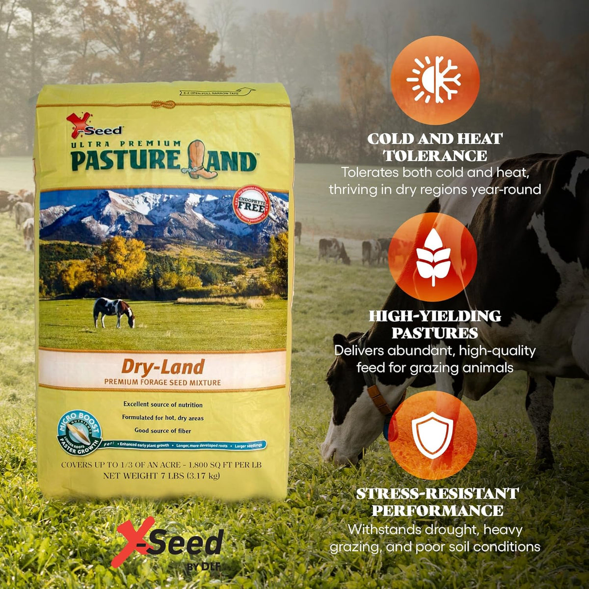 X-Seed Pasture Land Dry-Land Forage Seed Mixture with Micro-Boost – Tall Fescue Orchard Grass Ryegrass Endophyte Free Pasture for Safe Nutrition of Livestock, Formulated for Dry Areas – 7-Pound Bag