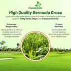 Outsidepride Oasis Bermuda Grass Seed - 10 lbs Warm Season, High Traffic, Heat Resistant, Drought-Tolerant, Low-Maintenance, Fast Growing Turf Grass for Lawn, Ideal for Sunny Areas, Thick Coverage
