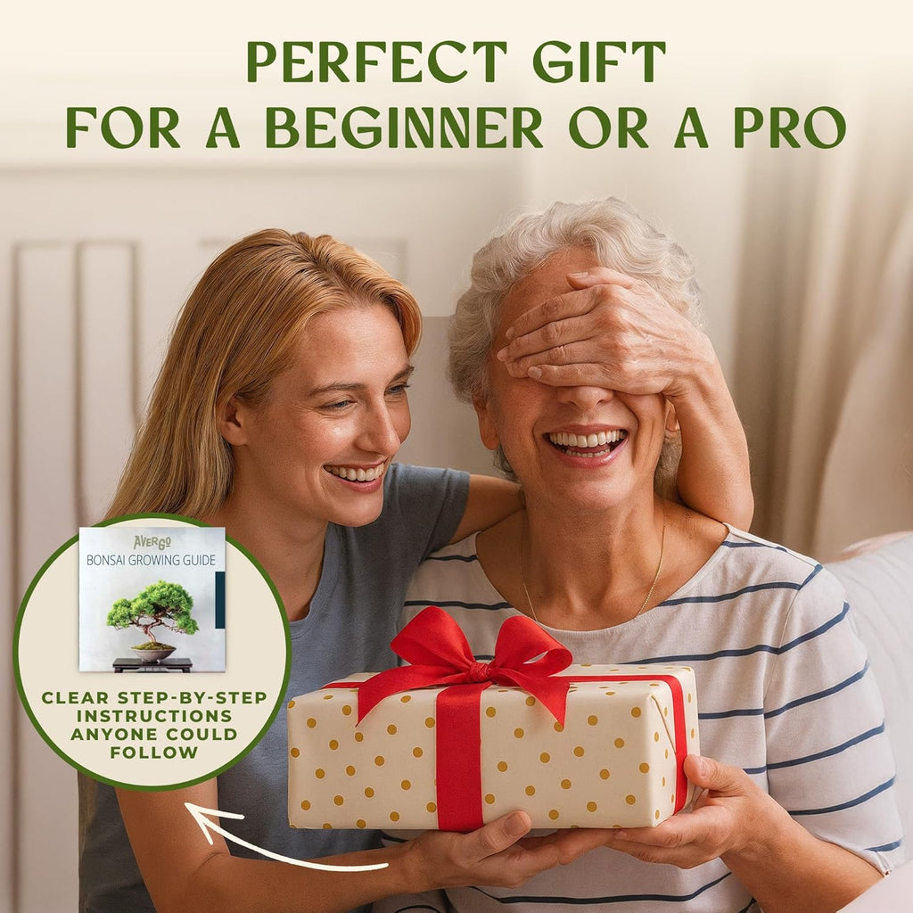AVERGO Bonsai Tree Kit for Beginners – 5X Unique Japanese Bonzai Trees | Complete Indoor Starter Kit for Growing Bonsai Plants with Tools & Planters – Gardening Gifts for Women & Men