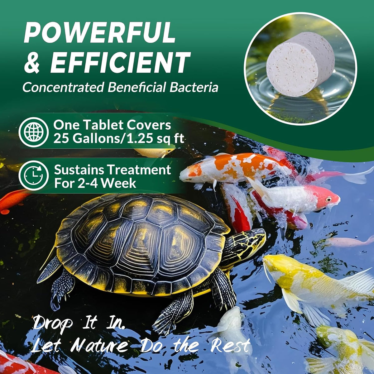 Muck Clear – Natural Pond Sludge Treatment, 500 Tablets for Ponds, Fountains & Bird Baths, Beneficial Bacteria & Enzymes, Chemical-Free & Safe for Fish, Pets & Wildlife