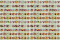 Set of 200 Flower Seed Packets - Flower Seeds in Bulk - 15 or More Varieties Available - Great for Creating Colorful Gardens (200)