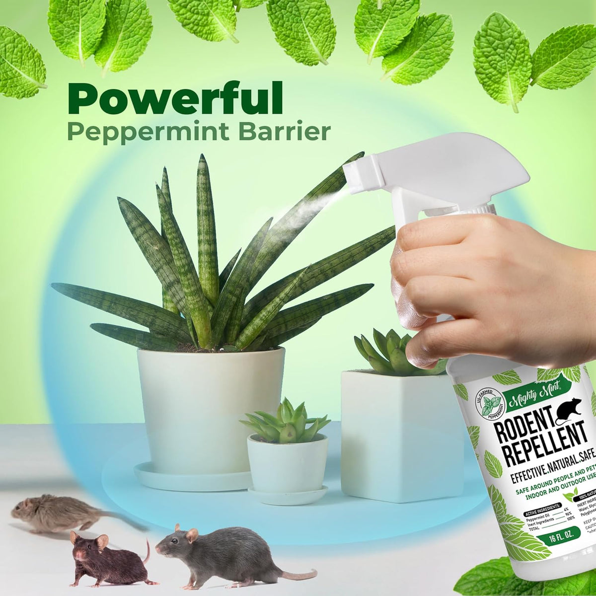 Mighty Mint Peppermint Oil Rodent Repellent Spray – Natural Indoor & Outdoor Control for Mice and Rats – Plant-Based, Extra-Strong Formula - 16 oz (Pack of 2)
