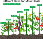 Garden Stakes 3ft, 3 Feet Metal Plant Stakes 30 Pack for Gardening and Farm, Plastic Coated Plant Support for Tomato, Cucumber, Bean, Flower, Potted and More Climbing Plants
