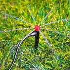 50 Pieces Drip Irrigation Emitters, Adjustable 360 Degree Drip Stream Emitters on 5" with Stake for 1/4" Drip Irrigation Tubing Irrigation 8 Hole Stream Drippers for Garden Watering System