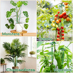 Extendable Plant Stakes,Adjustable Length from 17.9IN to 42.3IN Monstera Support Stakes with Clips,Sturdy Plant Stakes for Indoor Outdoor,Garden Sticks for Tomato,Orchid,Climbing Plants- 5Pack