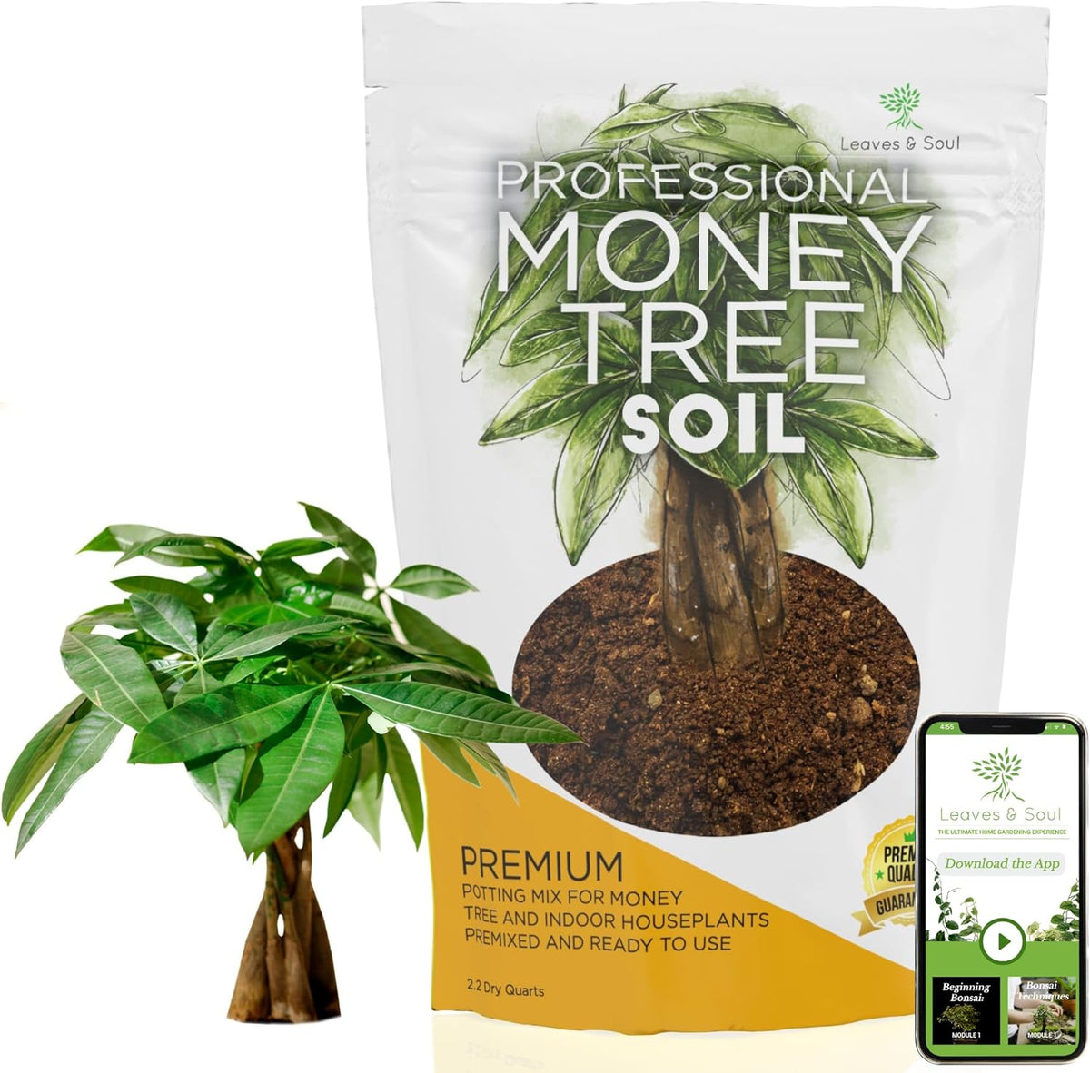 Professional Money Tree Soil | Large 2.2 Quarts Ready to Use for Money Tree Plants | Peat Moss, Coco Coir, Perlite, Dolomite | Made in USA