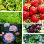 Garden Netting, 10x33Ft Ultra Fine Mesh Netting Pest Barrier Protection Bird Mosquito Net Plants Cover for Vegetables Fruits Flowers Crops Greenhouse Row Cover Raised Bed Patio Mesh Netting