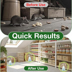Mouse Rodent Repellent, 12 Pack Peppermint Oil Mouse Traps for Rat Mice, Ant, Roach, Spider, Squirrel, Nature Mouse Deterrent for Indoor Outdoor Use, for Garden & Home, Family & Pet Safe