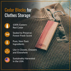 Dr. Killigan's Cedarwood Planks - Cedar Blocks for Clothes Storage, Great Alternative to Moth Balls for Closet, Drawer Deodorizer, Sustainably Harvested in USA (10-Pack)