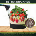 LITLANDSTAR 10 Gallon Fabric Grow Bags, 10 Pack Heavy Duty Thickened Nonwoven Plant Grow Bags with Handles and Label Bags, Fabric Plant Pots for Growing Vegetables Flowers Herbs (Black Mixed Camel)