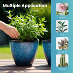 2 Pack Plastic Plant Pots with Drainage Holes, 8 inch Planter for Indoor Outdoor Plant, Garden Flower Pots for Aloe, Herbs, Cactus(Blue, 2pcs)
