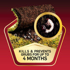 Scotts GrubEx1 Season-Long Grub Killer, 2-Pack – Treats 10,000 sq ft, Up to 4 Months Protection