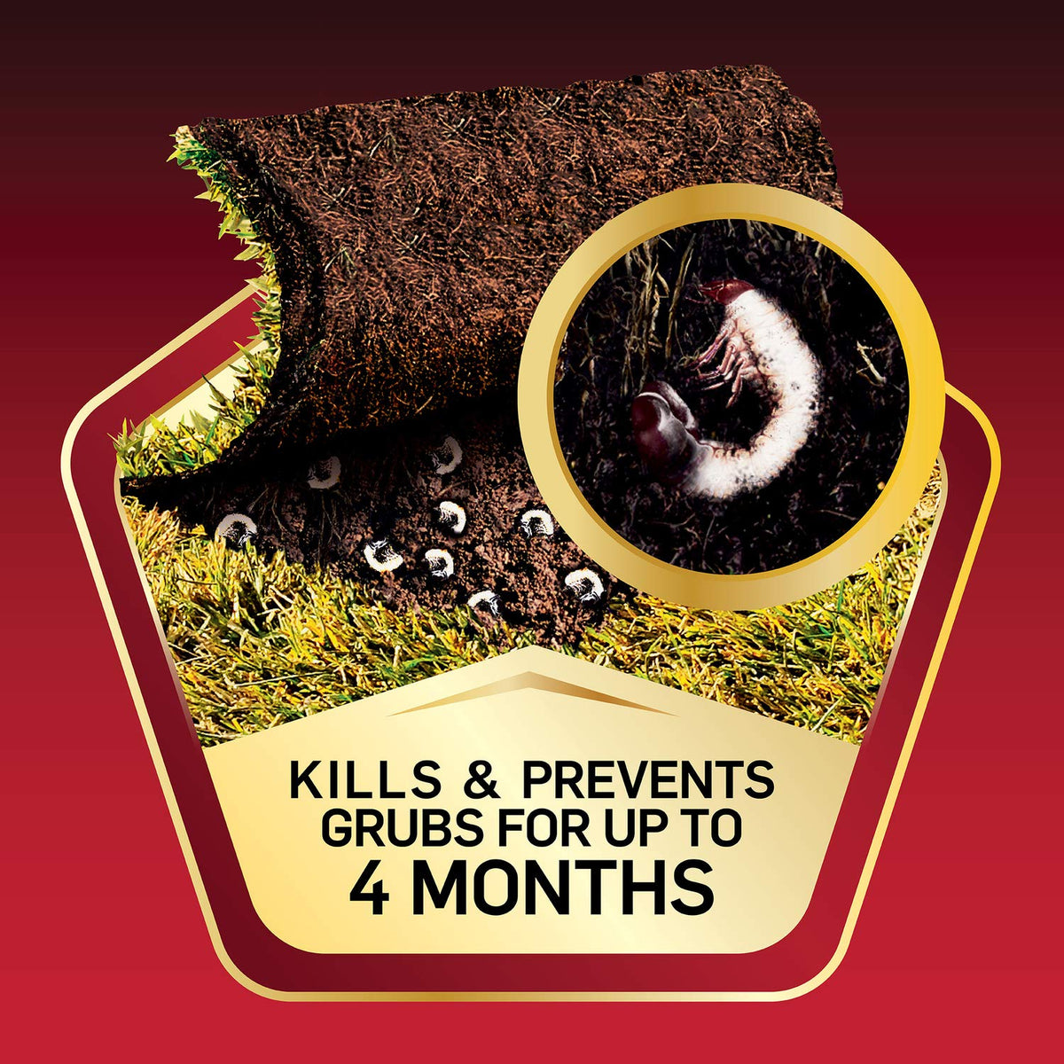 Scotts GrubEx1 Season-Long Grub Killer, 2-Pack – Treats 10,000 sq ft, Up to 4 Months Protection