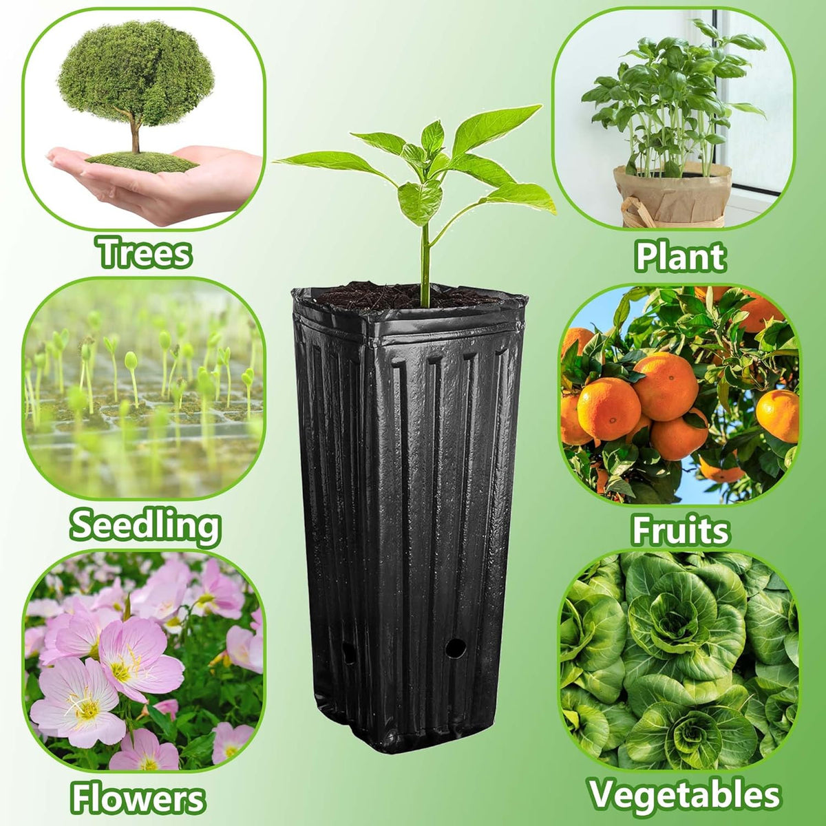 RunNico 50pcs Plastic Deep Plant Nursery Pots, 9.8”Tall Tree Pots,Black Deep Seedling Container Pots with Drainage Holes for Indoor Outdoor Gardening (4.7" Wx9.8 H)
