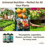 Organic Liquid Plant Food for Indoor Houseplants – All Purpose Fertilizer for Potted Plants, Vegetables, Succulents, Orchids, Roses – Miracle Growth with Mycorrhizae (16 oz)