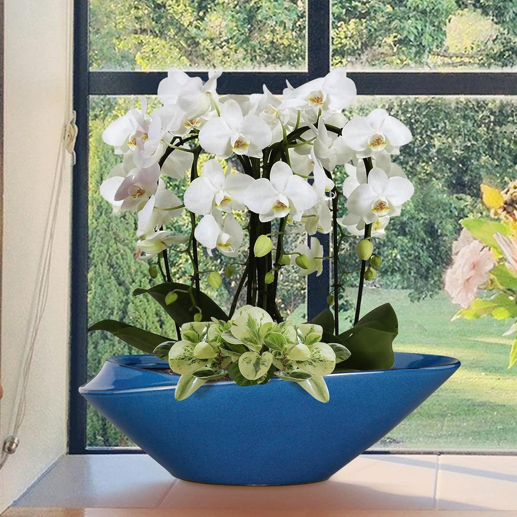 Bonsai Pot - 18 Inch Ceramic Planter for Indoor Outdoor Plants Bonsai Tree Pot Modern Large Succulent Planter Decorative Plant Pot with Drainage Hole Blue