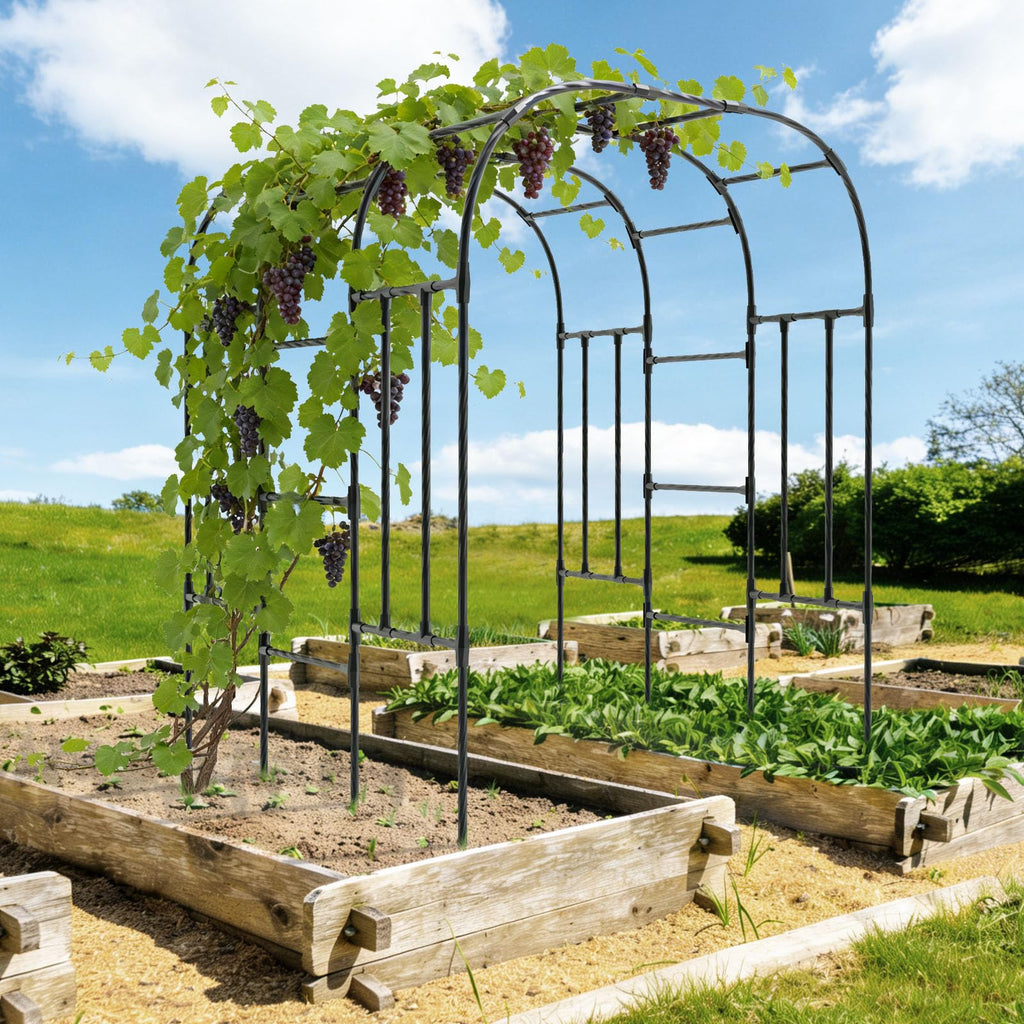 Trellume Garden Arch Trellis - 69" L*71" W*87" H, Rust-Proof Grape Trellis with Thickened Steel 20MM Pipe, Garden Arch Trellis for Climbing Plants Outdoor, Tunnel Trellis for Cucumber, Pumpkin, Melon