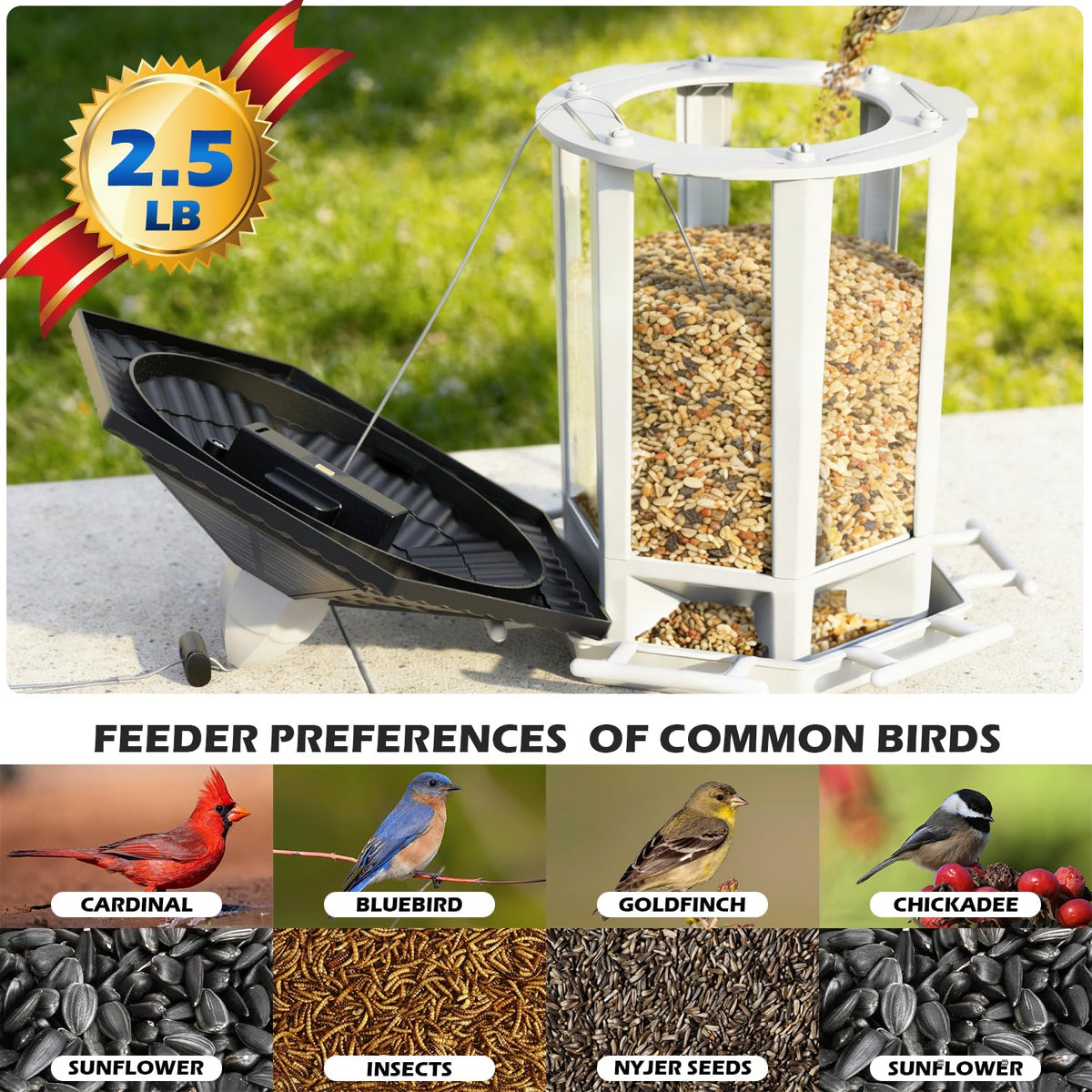Birdream 2 Pack Solar Bird Feeders for Outdoors Hanging, Assembly Required, 1-Min Easy Setup, Wild Seed Feeders for Cardinals Chickadees and Finches