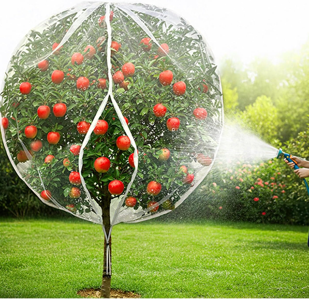 Fruit Tree Netting with Drawstring & Zipper, Bird Netting for Blueberry Bushes (2, 6x7.2 FT)