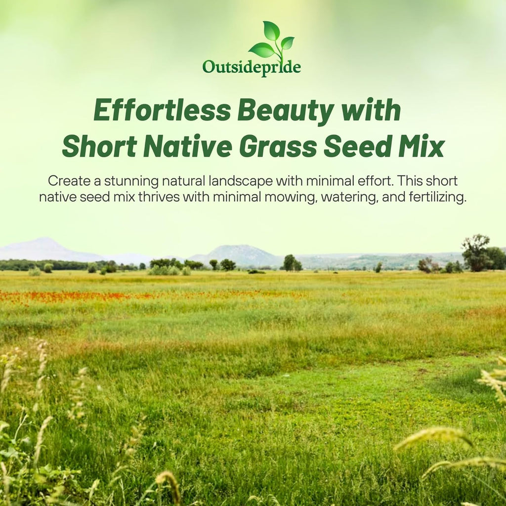 Outsidepride Perennial Short Native Grass Seed Mix - 1 lb. Premium Mix of Blue Grama, Buffalo, Sideoats Grama, & Sheep’s Fescue Grass Seeds for Low-Maintenance, Heat & Drought-Tolerant Landscaping