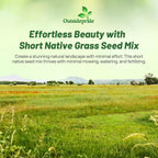 Outsidepride Perennial Short Native Grass Seed Mix - 1 lb. Premium Mix of Blue Grama, Buffalo, Sideoats Grama, & Sheep’s Fescue Grass Seeds for Low-Maintenance, Heat & Drought-Tolerant Landscaping