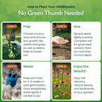 Created By Nature Tennessee Wildflower Seed Mix, 18 Flower Varieties, 35,000 Seeds
