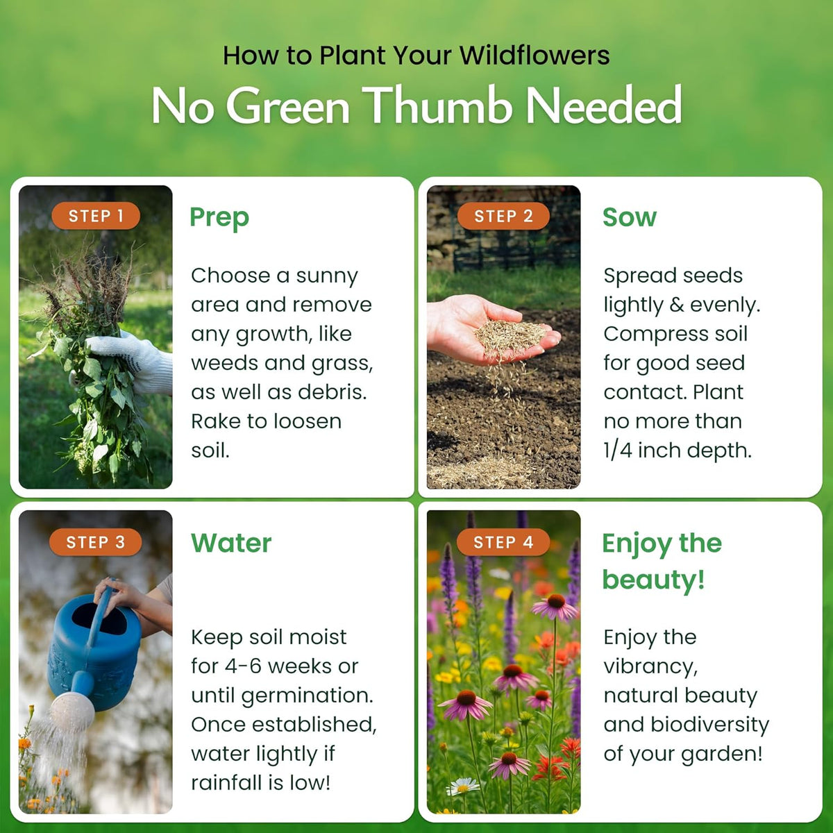 Created By Nature Tennessee Wildflower Seed Mix, 18 Flower Varieties, 35,000 Seeds
