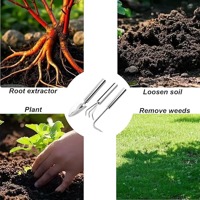 3 Pcs Stainless Steel Mini Garden Tools Set Small Tiny Shovel Trowel Root Extractor Hand Rake Indoor Outdoor Gardening Tools for Pot Plants Succulent Bonsai