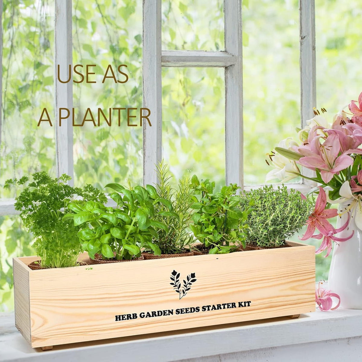 5 Herb Seeds Garden Starter Kit with Complete Planting Kit & Wooden Flower Box, Growing into Basil, Parsley, Rosemary, Thyme, Mint for Kitchen Windowsill Herb Garden DIY