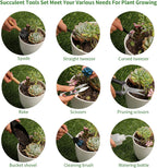 11Pcs Succulent Tools,Mini Garden Tools,Succulent Watering Tool as Plant Accessories,Succulent Gardending Hand Tools Kit for Seedling Soil,Caring Succulent,Houseplant,Gifts for Woman (No Flowerpot)