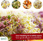 Nature Jims Radish Sprout Seeds – 16 Ounce Organic Sprouting Seeds – Non-GMO Premium Radish – Resealable Bag for Longer Freshness Rich in Vitamins, Minerals, Fiber