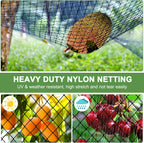 Bird Netting - 50'x100' Heavy Duty Nylon Net with 2' Mesh for Garden Protection, Chicken Coop, Orchard