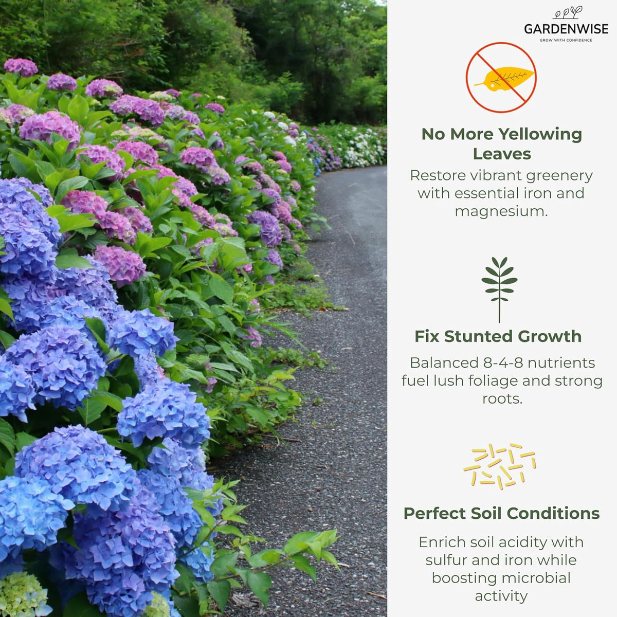 Slow Release Hydrangea Fertilizer with Iron & Sulfur – Indoor & Outdoor Soil Acidifier for Miracle Growth (2 qt)