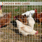 Tongmo 3 ft x 100 ft Galvanized Welded Wire Fence, 16GA Garden Chicken Wire Fence Roll, Mesh Size 2" x 4"Hardware Cloth, Ideal for Yard Protection and Poultry Netting