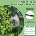 unho Garden Trellis for Climbing Plants with Tough Nylon Netting, 6ft Tall Sturdy Rustproof Metal Plant Support Tower for Vegetable Fruit Vine Cucumber Garden Lightweight，Outdoor