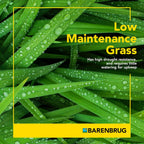Barenbrug Wonderlawn Quicklawn Grass Seed Mix for Lawn Care and Landscaping, 10 lbs. Bag