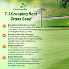 Outsidepride T-1 Creeping Bentgrass Seed - 2 lbs Fine-Bladed, Premium Quality Turf, Grass Seed for Smooth Surface, & High-Traffic Areas, Ideal Grass for Golf Courses Putting Greens, & Fairways